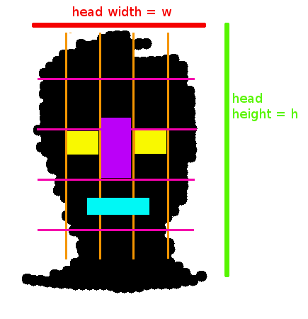 partition of human face using a fixed pattern